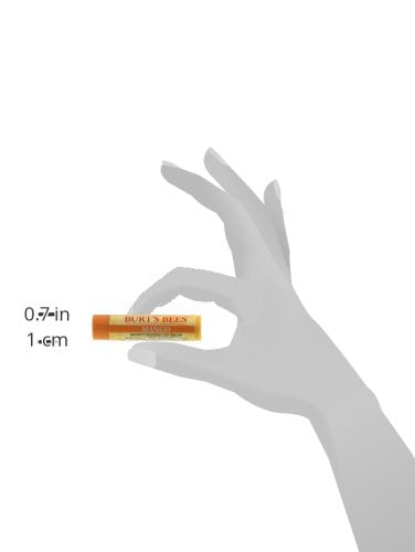 Burt's Bees Lip Balm - Mango,