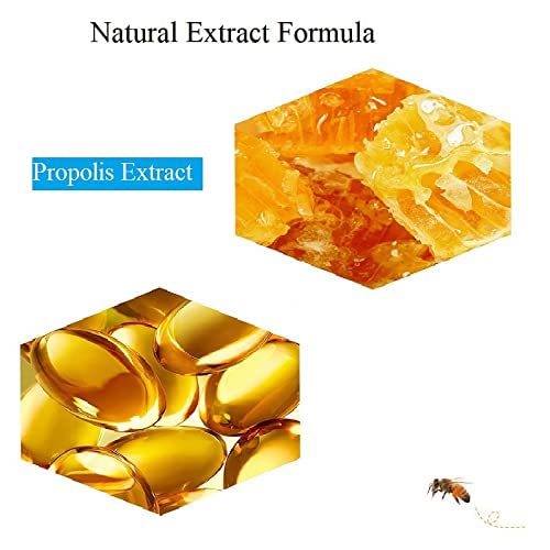 2PCS Lip Balm Honey Pot,Honey &