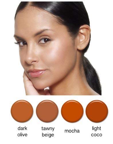 4pc TAN Complexion Professional Airbrush Cosmetic 2 oz