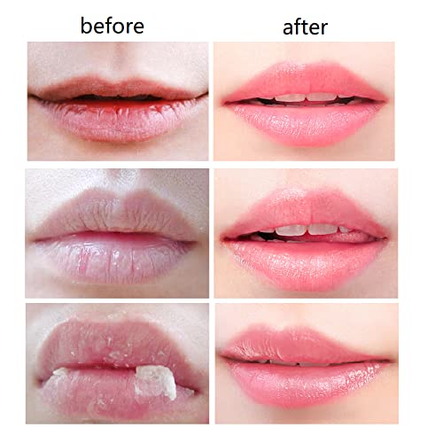 4 PCS Bee Lip Balm Honey