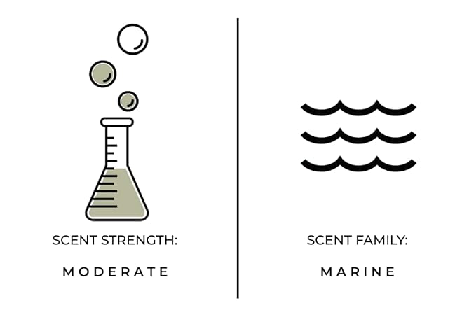 Crushed Salt + Mist Hand and Body Wash Luxury Hand and Body Wash | Paraben and Sulfate Free | Vegan | 16 fl oz