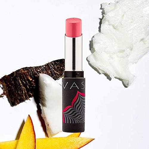 Best Balm Forever Tinted Lip Balm by VASANTI - Lip Moisturizer With Natural Oils and Butters for Hydration and Long Lasting Comfort - Vegan, Paraben Free (Girl Talk - Pink Raspberry)