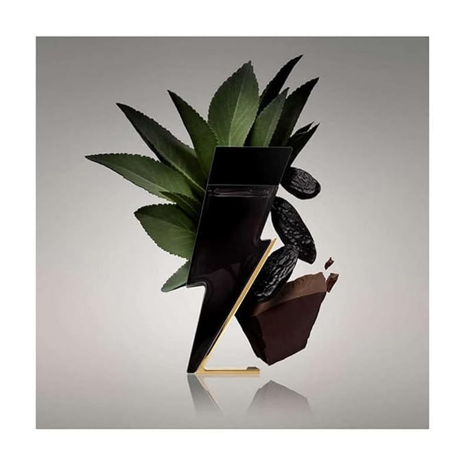 Carolina Herrera Bad Boy Fragrance For Men - Seductive, Masculine Scent - Features Oriental And Spicy Accords - Ideal For Evening Wear - Alluring Notes Of Black And White Pepper - Edt Spray - 1.7 Oz