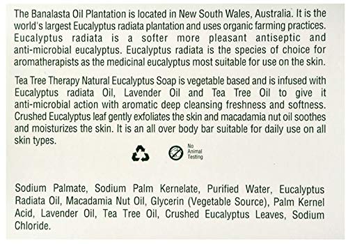 Tea Tree Therapy Vegetable Base Bar Soap, Eucalyptus, 2 count