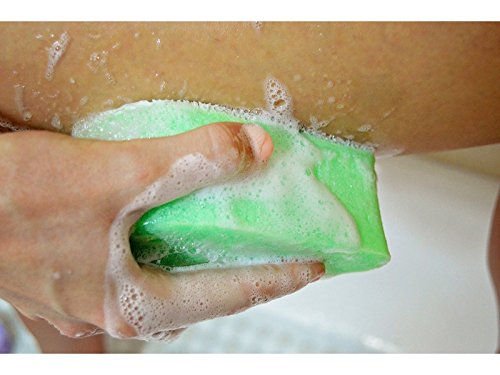 Spongeables Anti Cellulite Body Wash in a 20+ Wash Sponge, Fresh Aloe, 1 Count