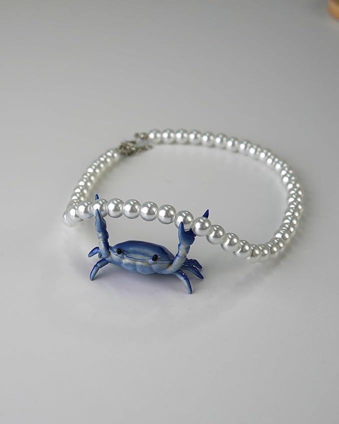 Crab pen holder for desk