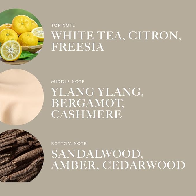 Aroma360 Pro Pod - Little White Lies Fragrance Oil Blend - 50ML | Aromatherapy Scent Diffuser Oil | White Tea, Citron, Freesia, Ylang, Bergamot, and More