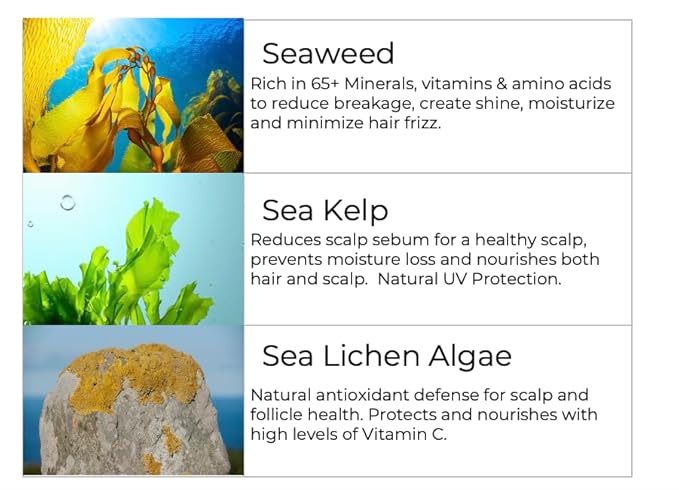 Deep Conditioning Moisture Vitamin Hair Mask with Organic Coconut Oil - Restores Dry Damaged - Repairs damage - reduces frizz - improves scalp circulation - Silicone Free