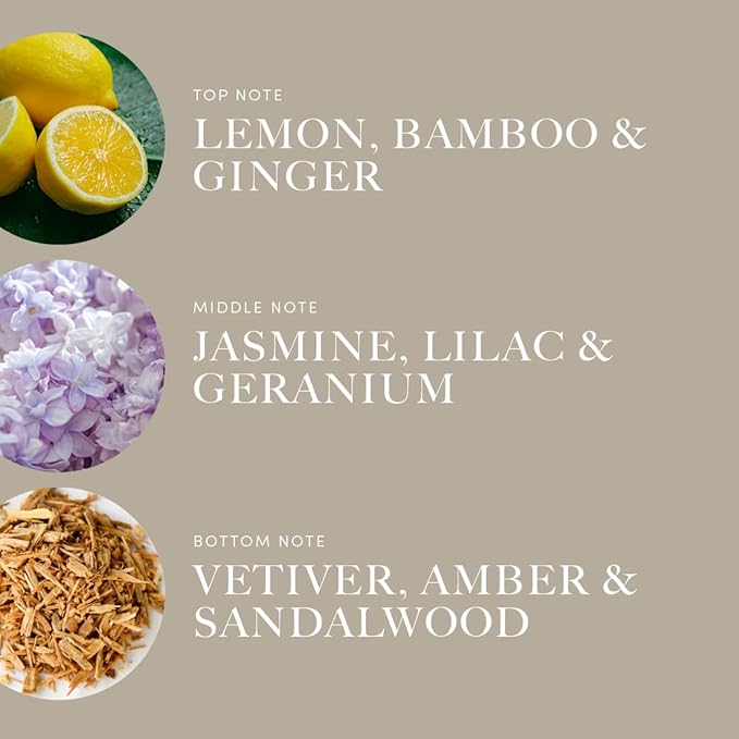 Aroma360 | Champagne Supernova Pro-Pod Oil Blend | Luxury Hotel Inspired Diffuser Oil | Aromatherapy Scent Diffuser Oil | Bamboo, Jasmine and Ginger 1.7 fl oz, 50 mL