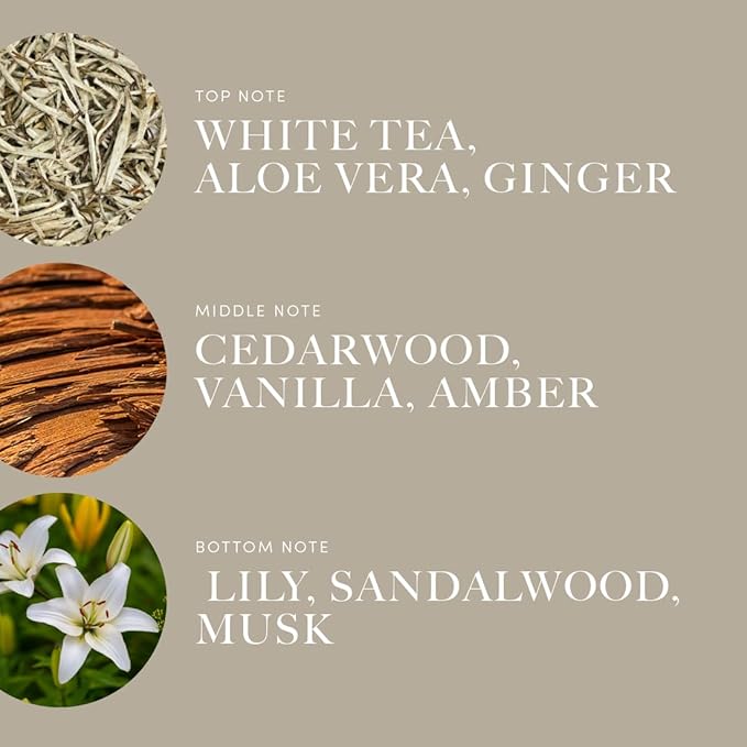 Aroma360 Dream On Pro Pod Fragrance Oil Blend | Hotel Inspired Luxury Essential Oil Diffuser | Aromatherapy Scent Diffuser Oil | White Tea, Aloe Vera, Ginger 1.7 fl oz, 50 mL