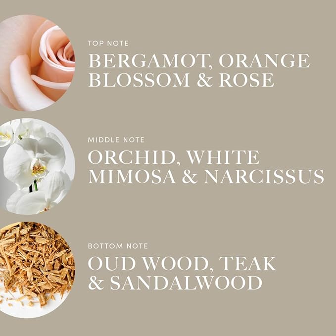 Midnight in Paris Pro Pod 50ML