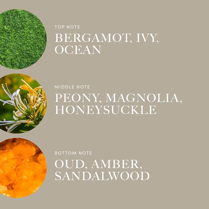 Aroma360 | Disney Under The Sea Pro-Pod Fragrance Oil Blend | The Little Mermaid | Princess Ariel | Luxury Essential Oil | Aromatherapy Scent Diffuser Oil | Bergamot, Ivy and Ocean 1.7 fl oz, 50 mL