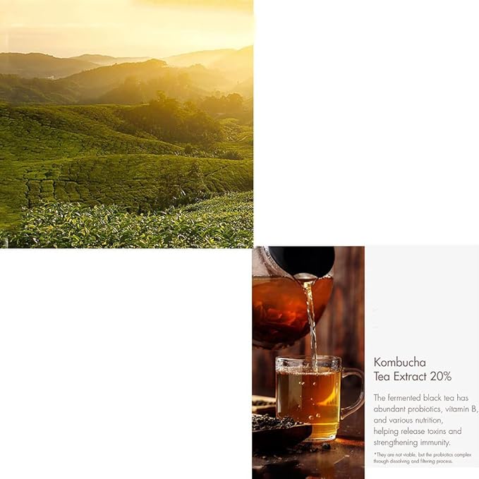 [Dr.Ceuracle] Vegan Kombucha Tea BB Cream 30ml SPF30 PA++