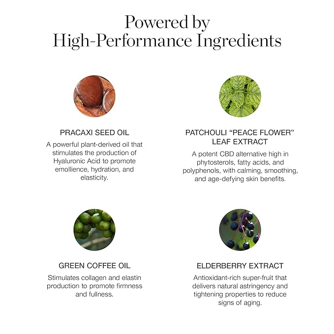 Ogee Sculpted Complexion Foundation Stick (Linden 1.25N Light Beige, Neutral Undertones) Full Coverage Foundation Makeup - Instantly Balance & Even Complexion - 70% Organic Ingredients