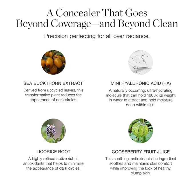 Ogee Complexion Perfecting Under Eye Concealer - Certified Organic Full Coverage Concealer - Buildable Coverage - ELM 9.75N - Medium Deep (Neutral Undertones