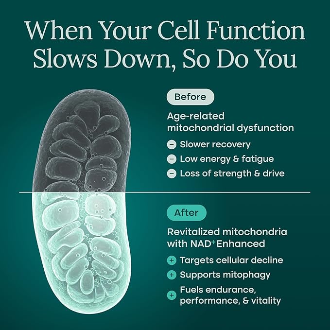 Liposomal NAD+ Supplement 500mg with Urolithin A, CoQ10, Resveratrol & Giloy (Made in USA) Mitochondrial, Cellular Energy, Cognitive, Anti-Aging & Detox Support - 3rd Party Tested Vegan, Non-GMO