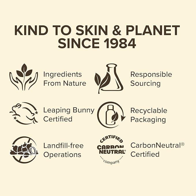 Burt's Bees Overnight Lip Sleeping Mask,