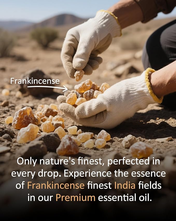 Pure Frankincense Essential Oil Pure for Aromatherapy Perfumes Soaps Use Diffuser Oils Home Use 4 Fl Oz