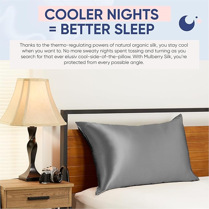 Blissy Silk Pillowcase - 100% Pure Mulberry Silk - 22 Momme 6A High-Grade Fibers - Silk Pillow Cover for Hair & Skin - Regular, Queen & King (Gray, Queen)