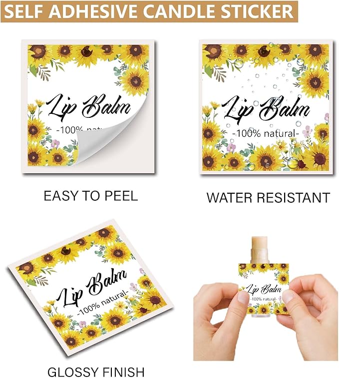 CRASPIRE 80Pcs 8 Styles Lip Balm Lipsticks