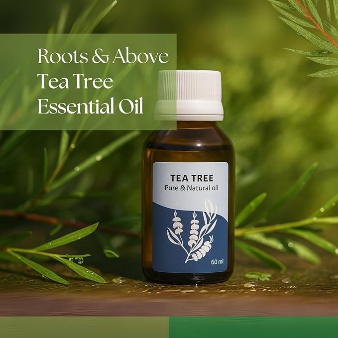 Roots & Above Tea Tree Essential Oil 2.02 Oz/60ml Pure Natural Oils for Skin, Face, Hair, Diffusers, Massage, Soap & Candle Making Scent