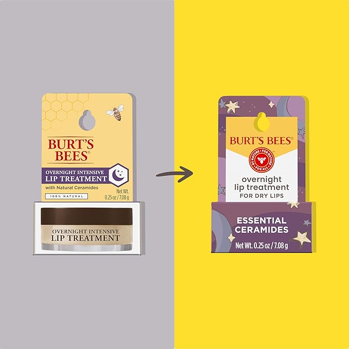 Burt's Bees Overnight Intensive Lip Treatment,