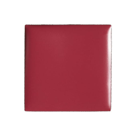 billion dollar brows Lip & Cheek Tint - Pigment