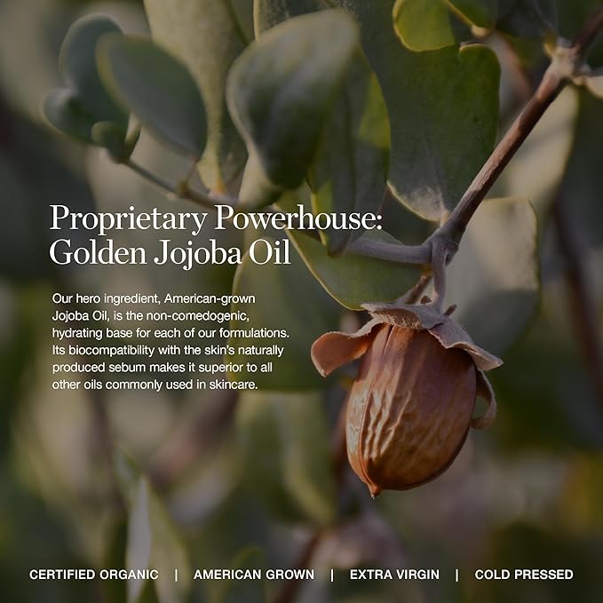 Ogee Complexion Perfecting Liquid Foundation - Lightweight Tinted Moisturizer For Face (Willow 3.00C - Medium Light, Peach-Beige Undertones) - with Vitamin C & Jojoba Oil - Certified Organic