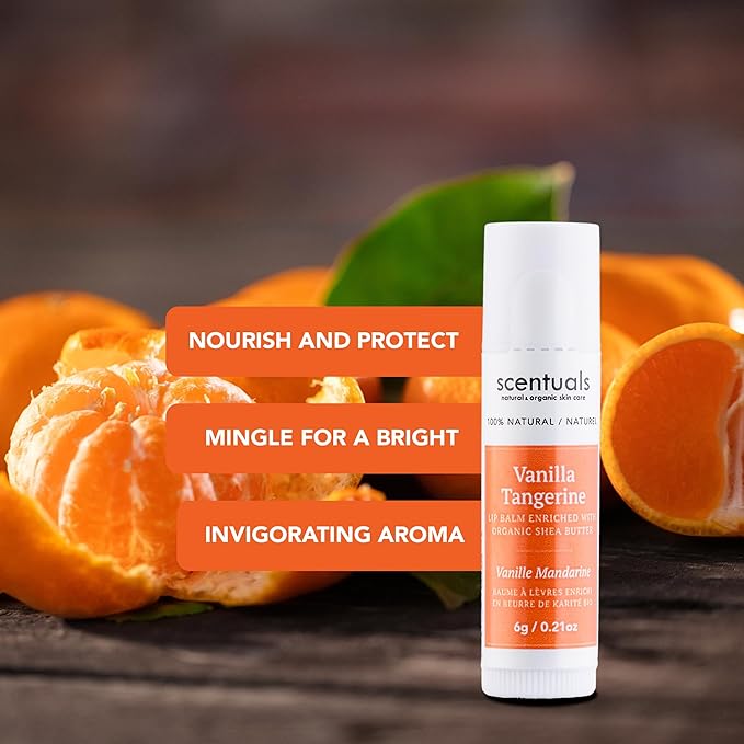 Lip Balm Vanilla Tangerine Set of 3, Made with Shea Butter, Cocoa Butter, Avocado & Jojoba oil, Beeswax, Vitamin E and Essential oil, Moisturizing Lip Care, Cruelty Free Hydration, Natural (3 Pack)