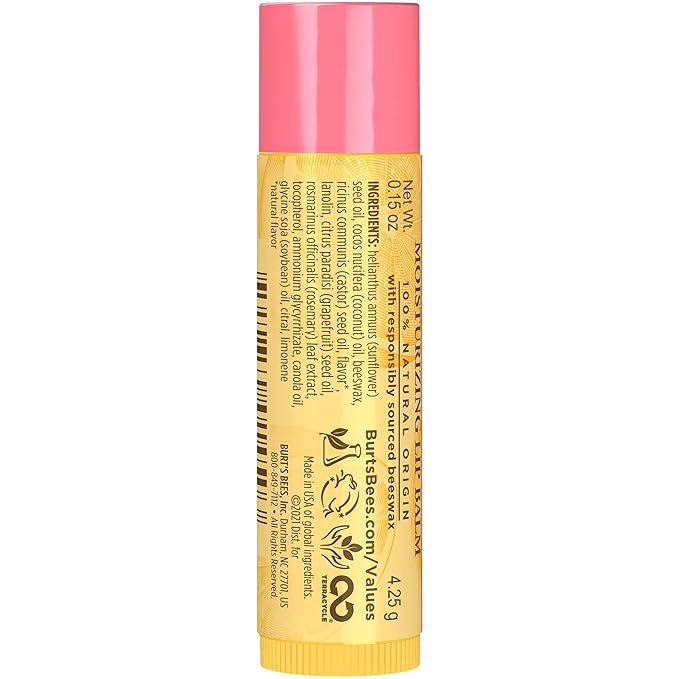Burt's Bees 100% Natural Moisturizing Lip
