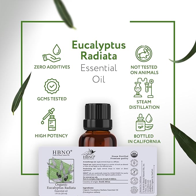 HBNO California Bottled Organic Eucalyptus Essential Oil (Radiata) 1 fl oz (30ml) - USDA Certified Organic Eucalyptus Oil - Perfect Eucalyptus Oil Essential Oil for Aromatherapy
