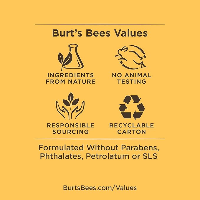 Burt's Bees 100% Natural Origin Moisturizing