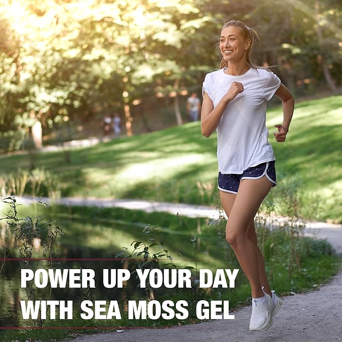 Biolore Sea Moss Gel - Elderberry 16oz, Wildcrafted Irish Seamoss with Essential Vitamins & Trace Minerals, Vegan Superfood Made in USA