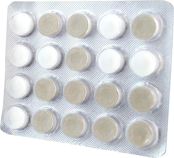 Oracoat XyliMelts for Dry Mouth Night Time or Day - Moisturizing Dry Mouth Adhering Discs, Sugar Free with Xylitol, 40 Count - 6 Pack, Mild Mint Flavor, 8-Hour Relief