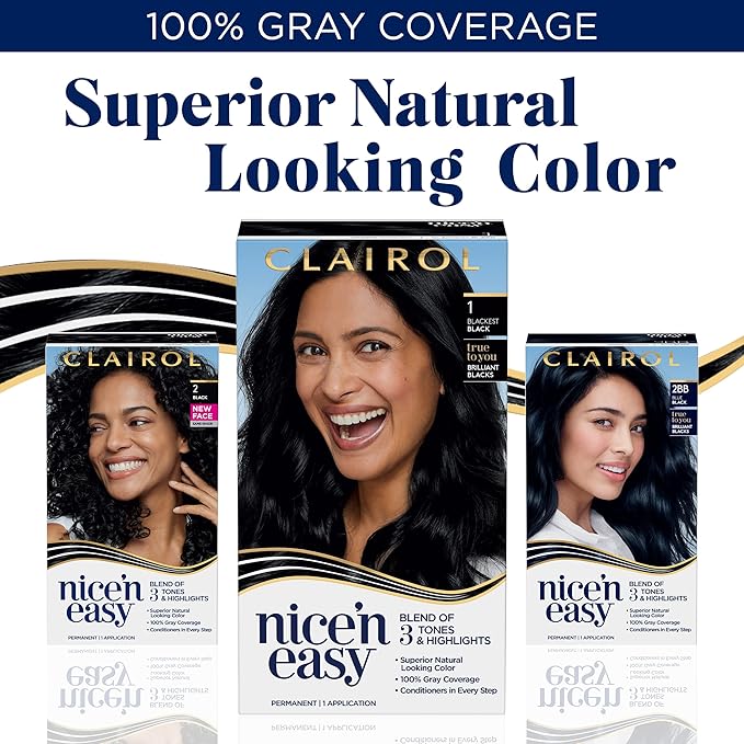 Clairol Nice'n Easy Permanent Hair Dye, 3RV Darkest Burgundy Violet Hair Color, Pack of 2