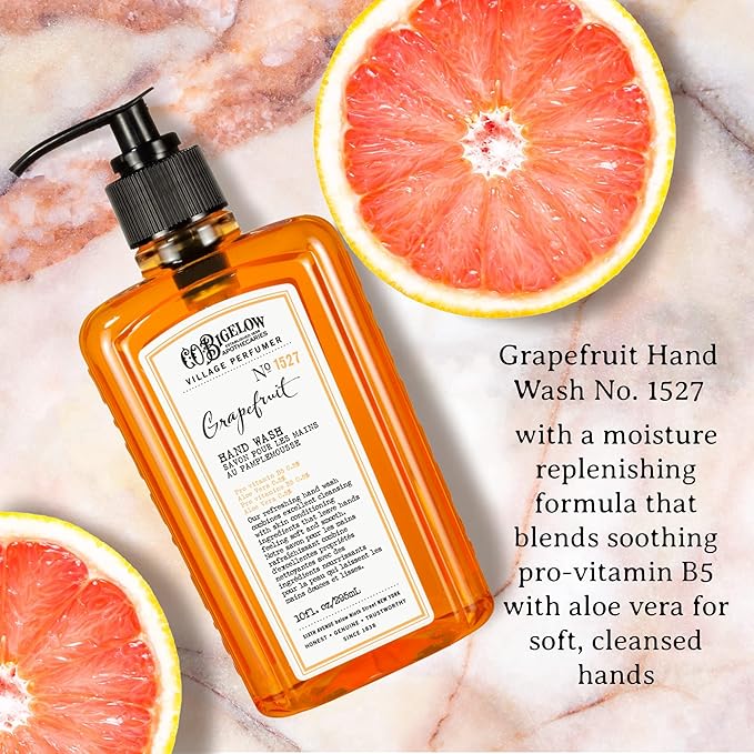 C.O. Bigelow Hand Wash Grapefruit, Village Perfumer Moisturizing Hand Soap for Bathroom & Kitchen with Aloe Vera and Pro-Vitamin B5, 10 fl oz