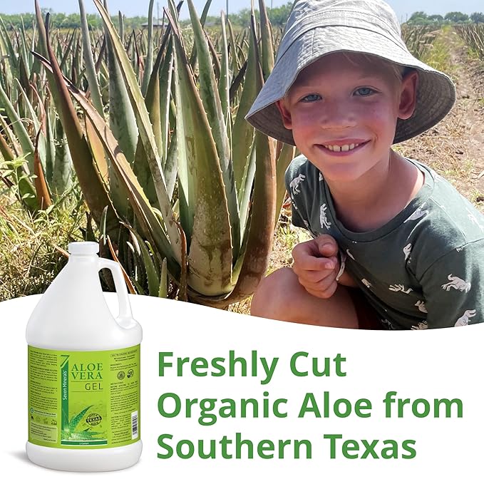 Seven Minerals Organic Aloe Vera Gel from freshly cut 100% Pure Aloe - 1 Gallon - HighestQuality, Texas grown, Vegan, Unscented - For Face, Skin, Hair, Sunburn Relief - Bulk DIY (128 Fl Oz)
