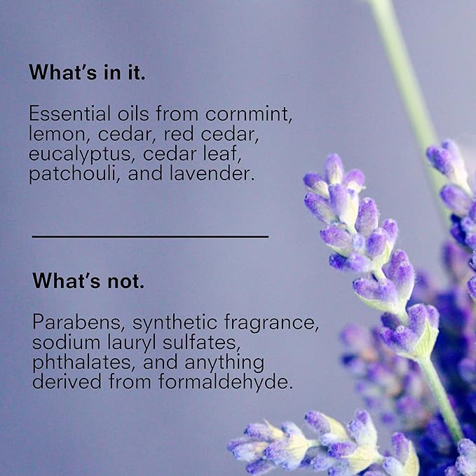 Public Goods Body & Hand Lotion for Women & Men | Natural Moisturizing Daily Lotion for Dry & Itchy Skin | Paraben & Sulfate Free | Made with Organic Essential Oils | Made in Canada | 34 Fl Oz Refill