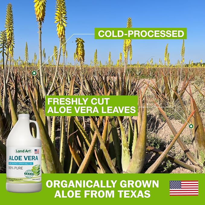Land Art - Organic Aloe Vera Drinkable Gel for Heartburn & Acid Reflux Relief - 99.7% Pure - Cold-Processed - Improves Digestive Health - Soothing and Natural - Vegan & Gluten-Free - 64 fl oz