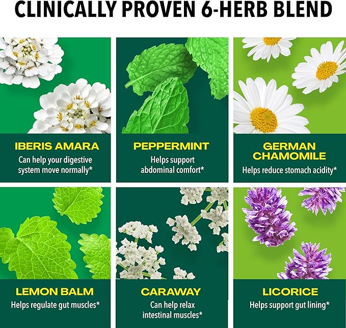 Iberogast Liquid Drops, Herbal Relief of Stomach Upsets: Occasional Indigestion, Bloating, Gas, Nausea, Upset Stomach; Gluten Free; 6-Herb Blend with Iberis Amara, Peppermint, Licorice; 50mL