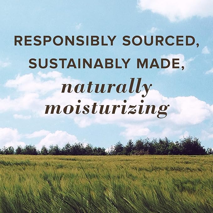 Burt's Bees 100% Natural Tinted Lip Botanical