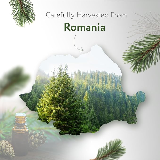 HBNO California Bottled Pine Needle Essential Oil 4 fl oz (120ml) - Natural Pine Needle Oil - Perfect for Cleaning, Aromatherapy, DIY, Soap & Diffuser