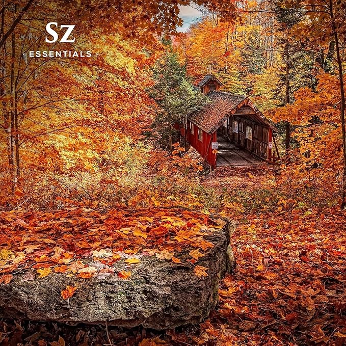 Pumpkin Spice Essential Oil Blend for Diffuser and Humidifier - 100% Pure and Natural - Rich Pumpkin Spice Scent, with Fruity and Spicy Overtones - Vegan - 0.17 floz (5 mL)