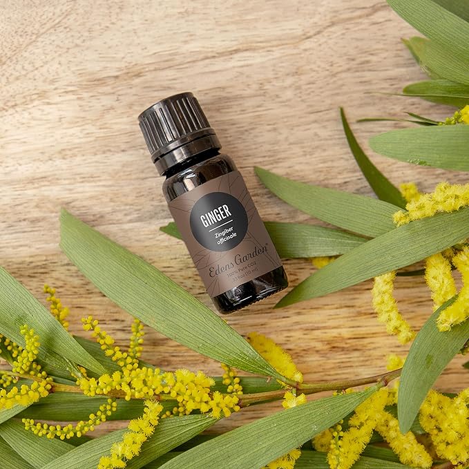 Edens Garden Ginger CO2 Essential Oil- 100% Pure Premium Grade, Undiluted, Natural, Therapeutic, Aromatherapy, The Best for Diffuser, Candle, Laundry, Humidifiers 30 ml (1 fl oz)